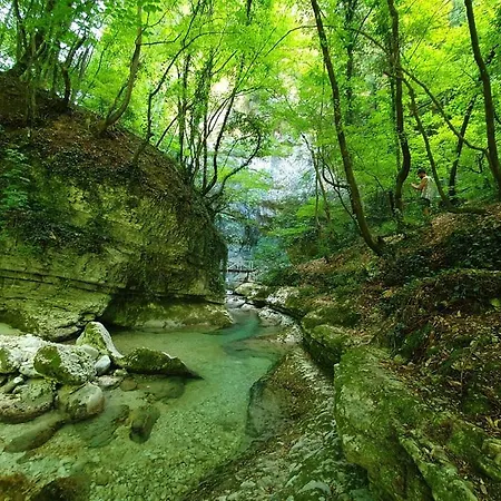 Palestro 8_art House Дом отдыха